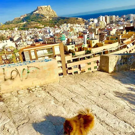 Casacec Homestay Alicante