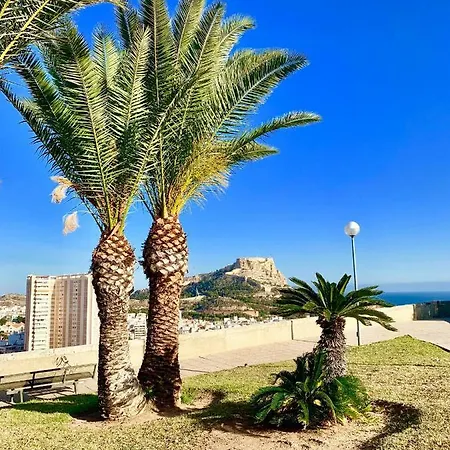 Homestay Casacec Alicante