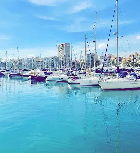 Casacec * Alicante