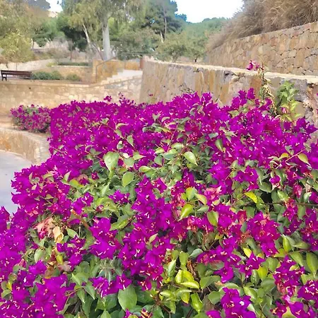 Casacec Rum i privatbostad *